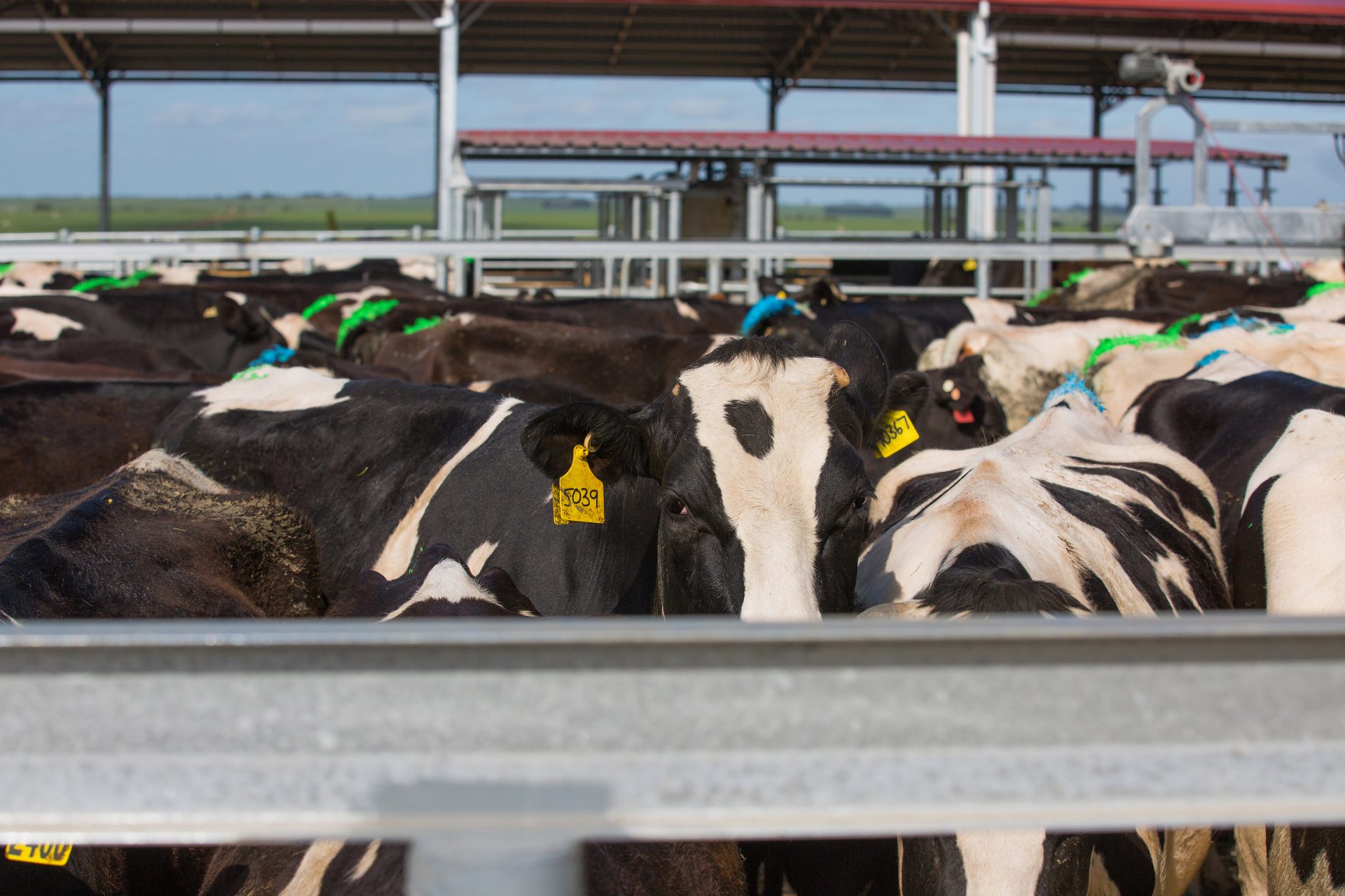 The Union Dairy Company (UDC) The Midfield Group